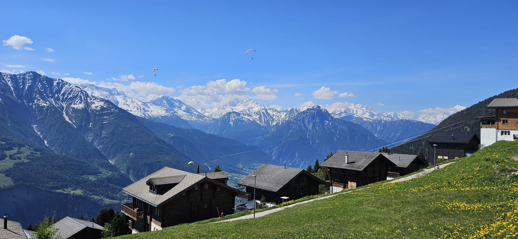 Blick von der Riederalp auf die Walliser Alpen im Sommer