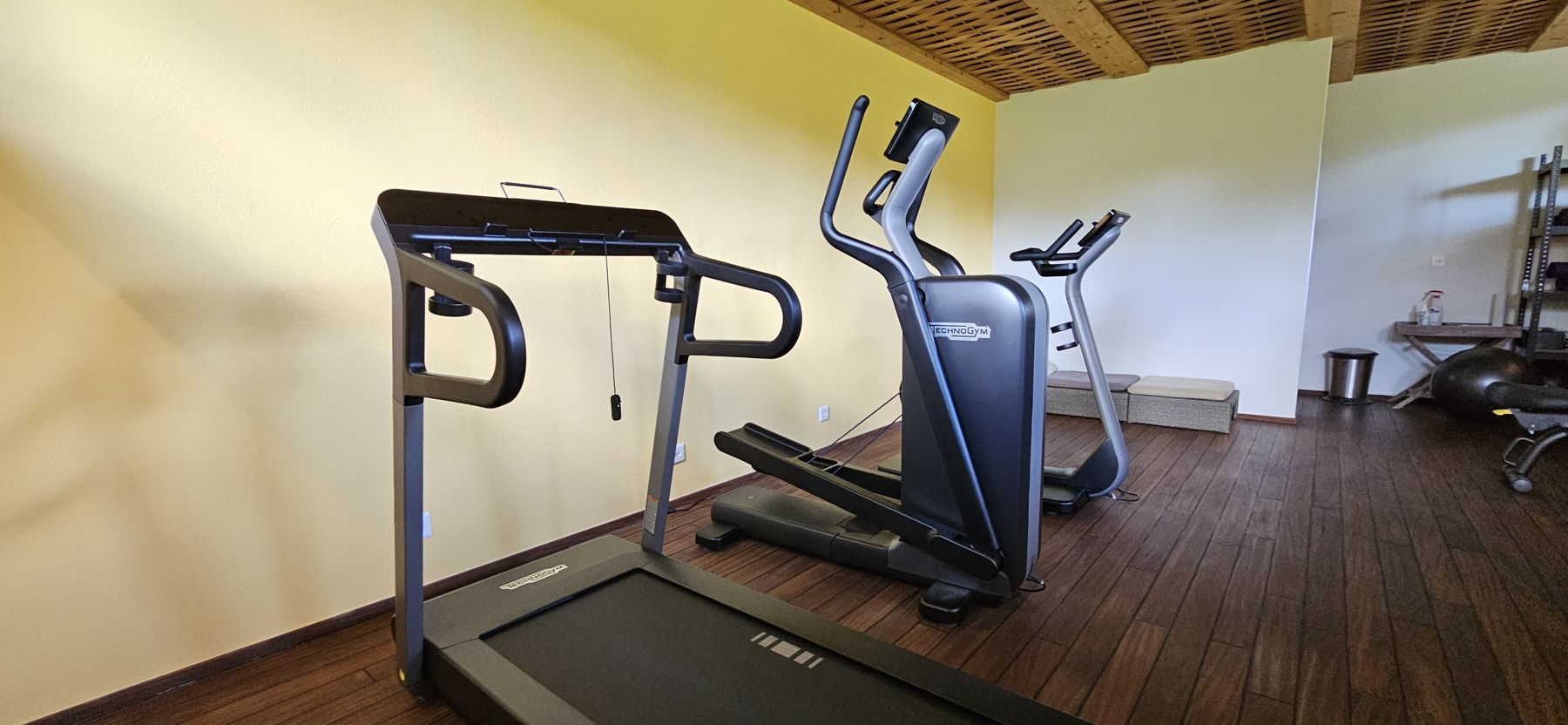 Fitnessraum mit Laufband und Crosstrainer
